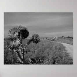 i sommaren i Madrid Poster