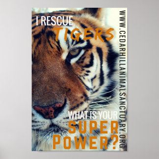 I Spara Tigers Toppen Power Poster
