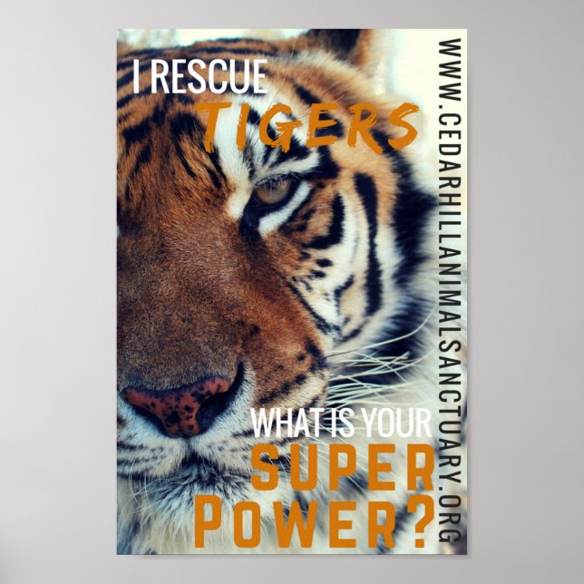 I Spara Tigers Toppen Power Poster (Framsidan)