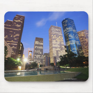 I stadens centrum Houston, Texas Musmatta