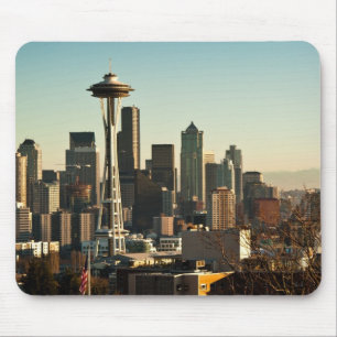I stadens centrum Seattle horisont och utrymmenål Musmatta