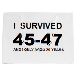 I Survived 45-47