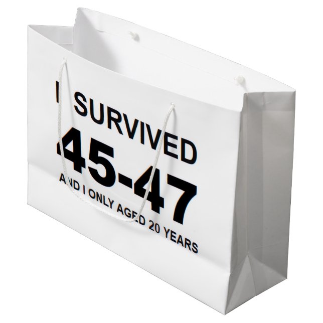 I Survived 45-47 (Framsidan Vinklad)