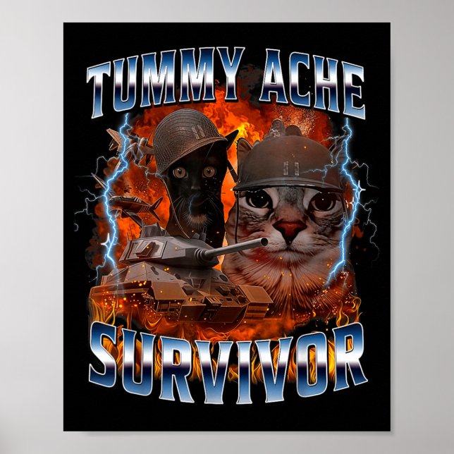 I Survived Today's Tummy Ache Funny Silly Cat Meme Poster (Framsidan)