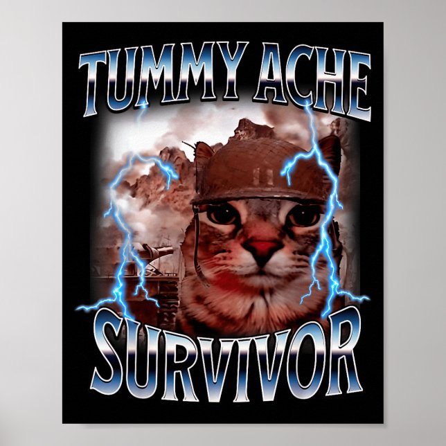 I Survived Today's Tummy Ache Survivor Funny Cat M Poster (Framsidan)