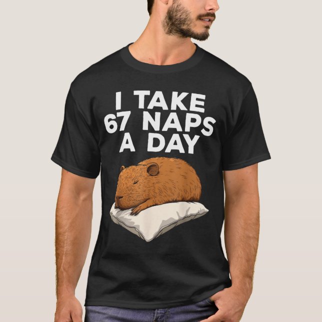 I Take 67 Naps A Day Funny Capybara Six Seven Meme T Shirt (Framsida)