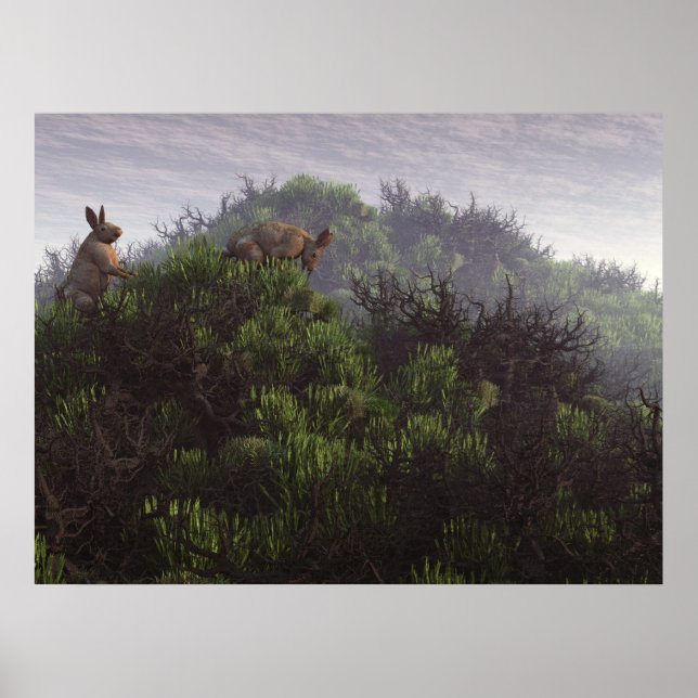 I Thicket Poster (Framsidan)