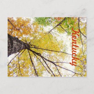 I Träd av JerseyFawn Vykort