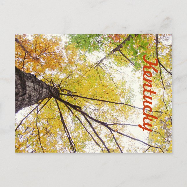 I Träd av JerseyFawn Vykort (Framsida)