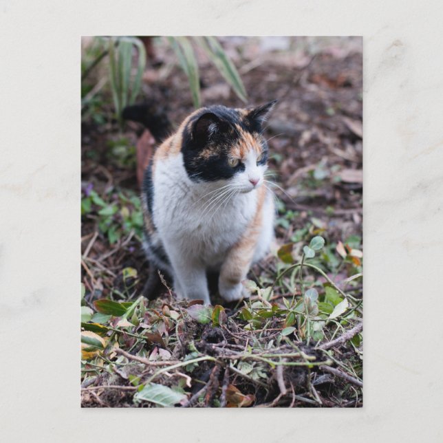 I trädgården - vykort (Framsida)