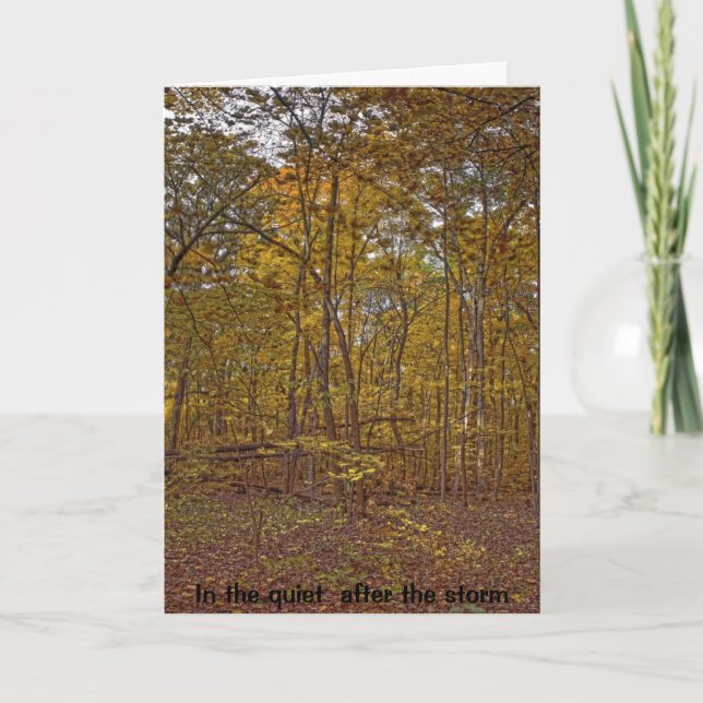 I tystnaden efter stormsympatikortet kort (Framsida)