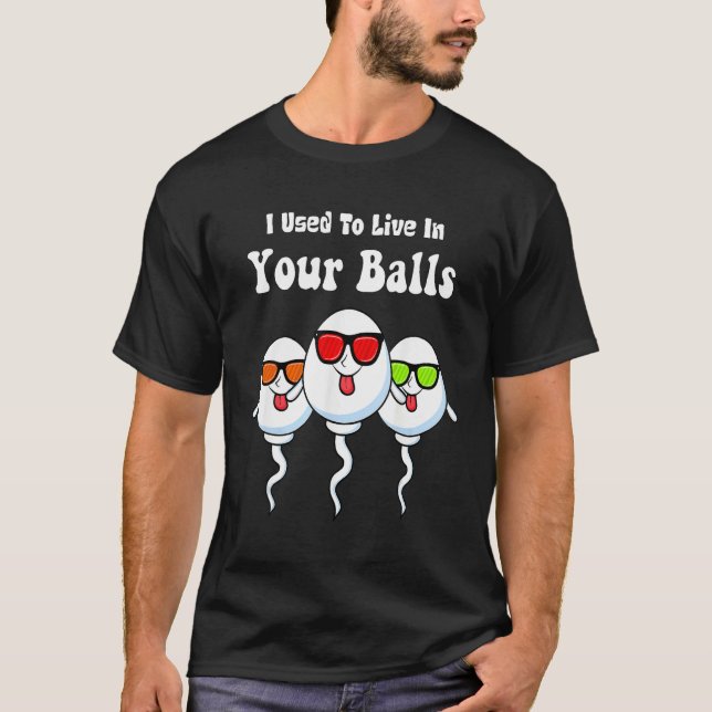 I Used To Live in Your Balls Funny, Silly Father's T Shirt (Framsida)