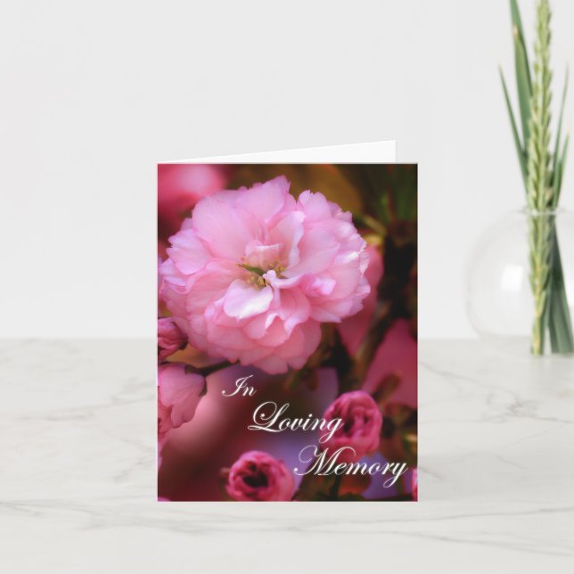 I Vår Rosa Cherry-Blommar för överminnesminne Kort (Framsida)