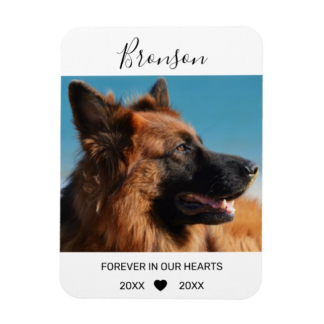 I våra hjärtan | Pet Photo Memorial Magnet (Vertikal)