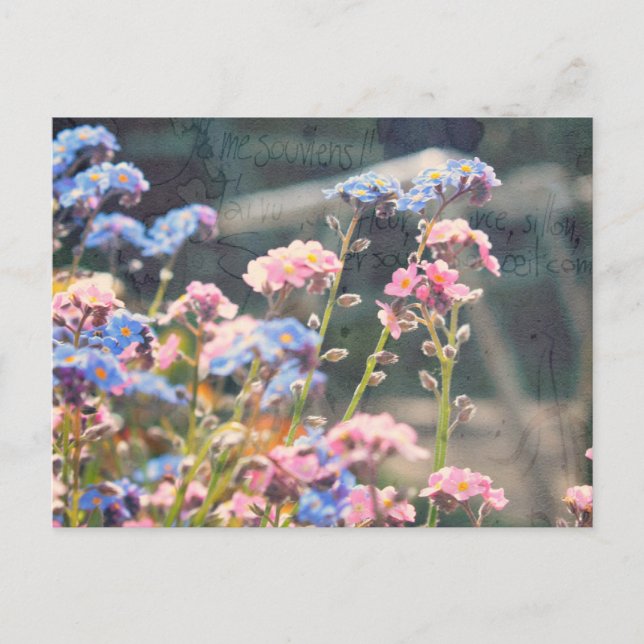 I vårträdgården vykort (Framsida)