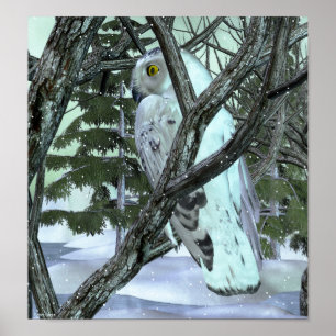 I Vilden Snowy Uggla Poster