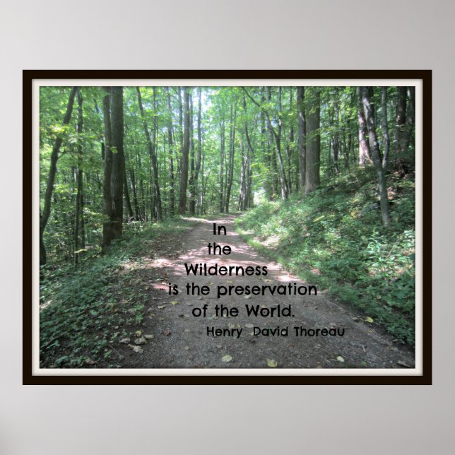 I vildmarken: citat av Henry David Thoreau Poster (Framsidan)