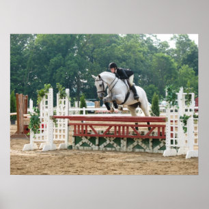 I vinnarkretsen poster