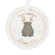 I Wanna Hippopotamus Reindeer for Christmas 2025 