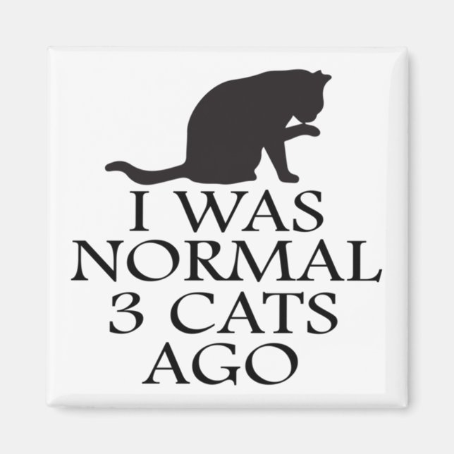 i-was-normal-3-cat-ago-lustig-cat magnet (Framsidan)