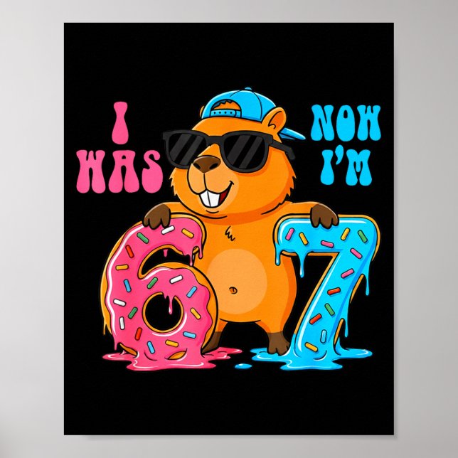 I Was Six Now I'm Seven 6 7 Capybara 67 Meme 7th B Poster (Framsidan)