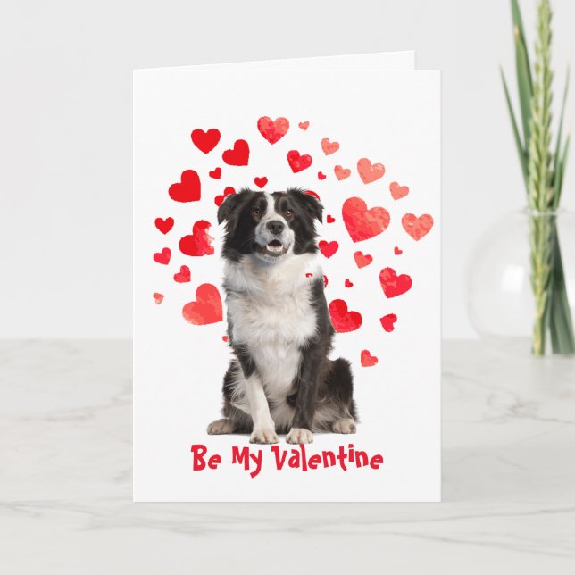 I Woof Kärlek You Gräns Collie Hund Valentine Helgkort (Framsida)