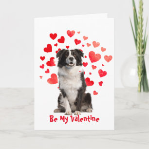 I Woof Kärlek You Gräns Collie Hund Valentine Helgkort