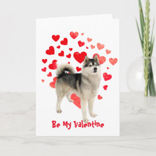I Woof Kärlek You Husky Hund Valentine Helgkort