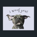 I Woof You Cute Black Pitbull Hund Vykort<br><div class="desc">Det här är en vattenfärgsmålning av en svartpunktsblandning med flytande öron. Den har söt brun ögon. Det står "jag är du" ovanför hund. Skicka det här kortet till någon som kärlek hundar!</div>