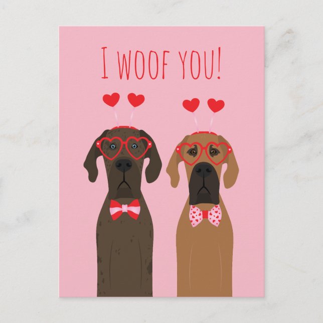 I Woof You Valentines day Great dane Hundar Vykort (Framsida)