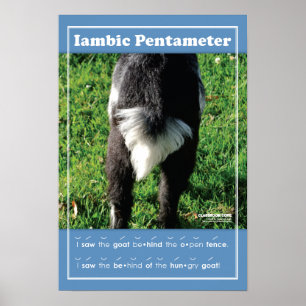 Iambic Pentameter 13-tums x 19-tums klassrumsPoste Poster