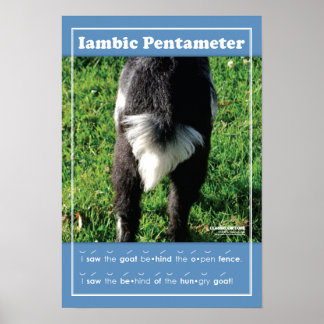 Iambic Pentameter 13-tums x 19-tums klassrumsPoste Poster