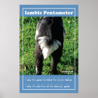 Iambic Pentameter 24-tums x 36-tums klassrumsPoste Poster