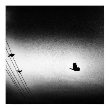 Ianiverse Noir (Uppdrag)