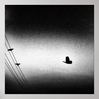 Ianiverse Noir (Uppdrag) Poster