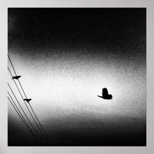 Ianiverse Noir (Uppdrag) Poster (Framsidan)