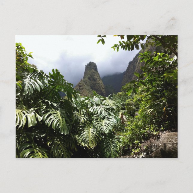 Iao Nål i Iao Valley State Park, Maui, Hawaii Vykort (Framsida)