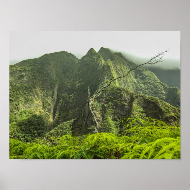 Iao Valley Poster (Framsidan)