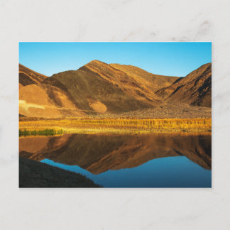 Ibex Backe Reflection Vykort