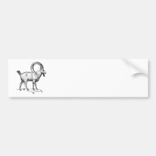Ibex Bildekal
