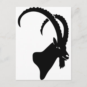 ibex capricorn steinbock Bergskockar Vykort