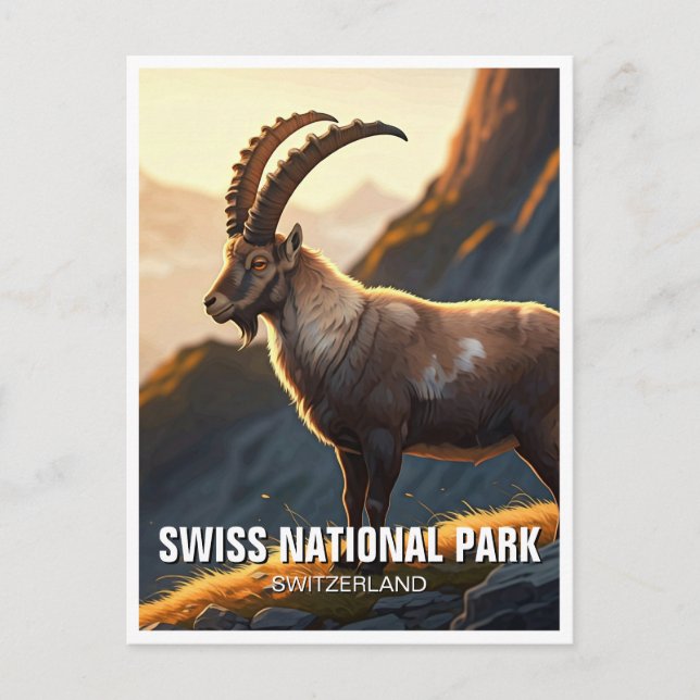 Ibex i schweiziska nationalparken Schweiz Vykort (Framsida)