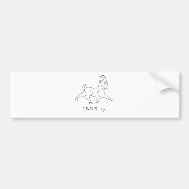 Ibex sp. Bouquetin Bildekal (Framsidan)