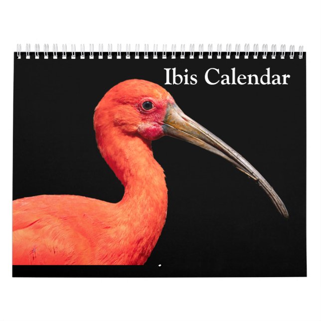 Ibis 2027 Kalender (Omslag)