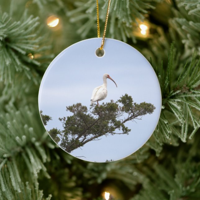 Ibis Bird Ornament (Träd)