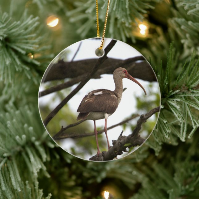 Ibis Bird Ornament (Träd)