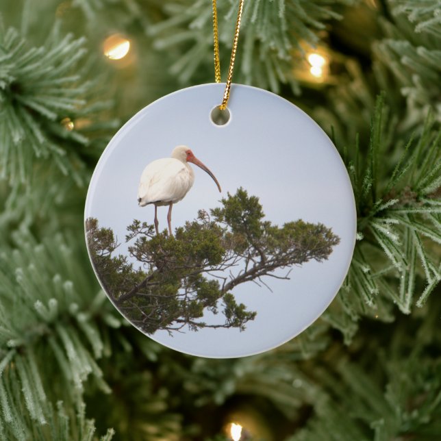 Ibis Bird Ornament (Träd)