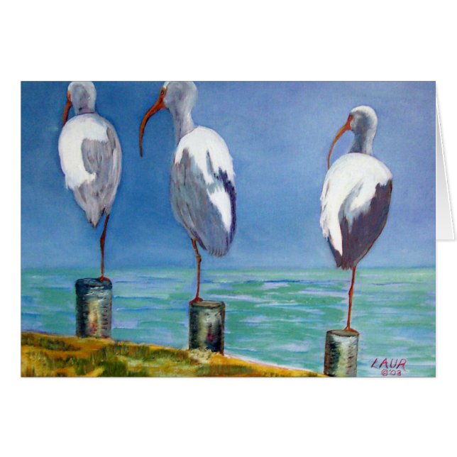 Ibis Design Hälsningskort (Framsidan Horizontal)