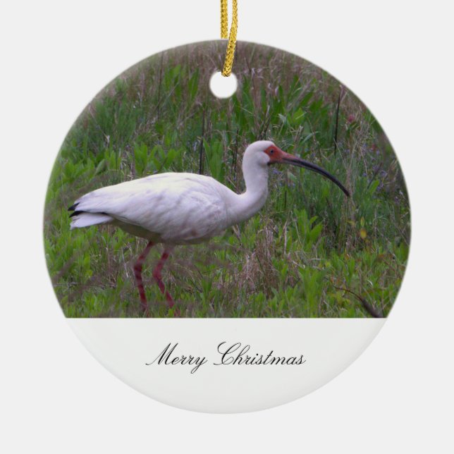 Ibis Fågel Foto Ornament (Framsidan)
