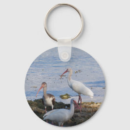Ibis-fåglar på stranden av Florida Bay Nyckelring